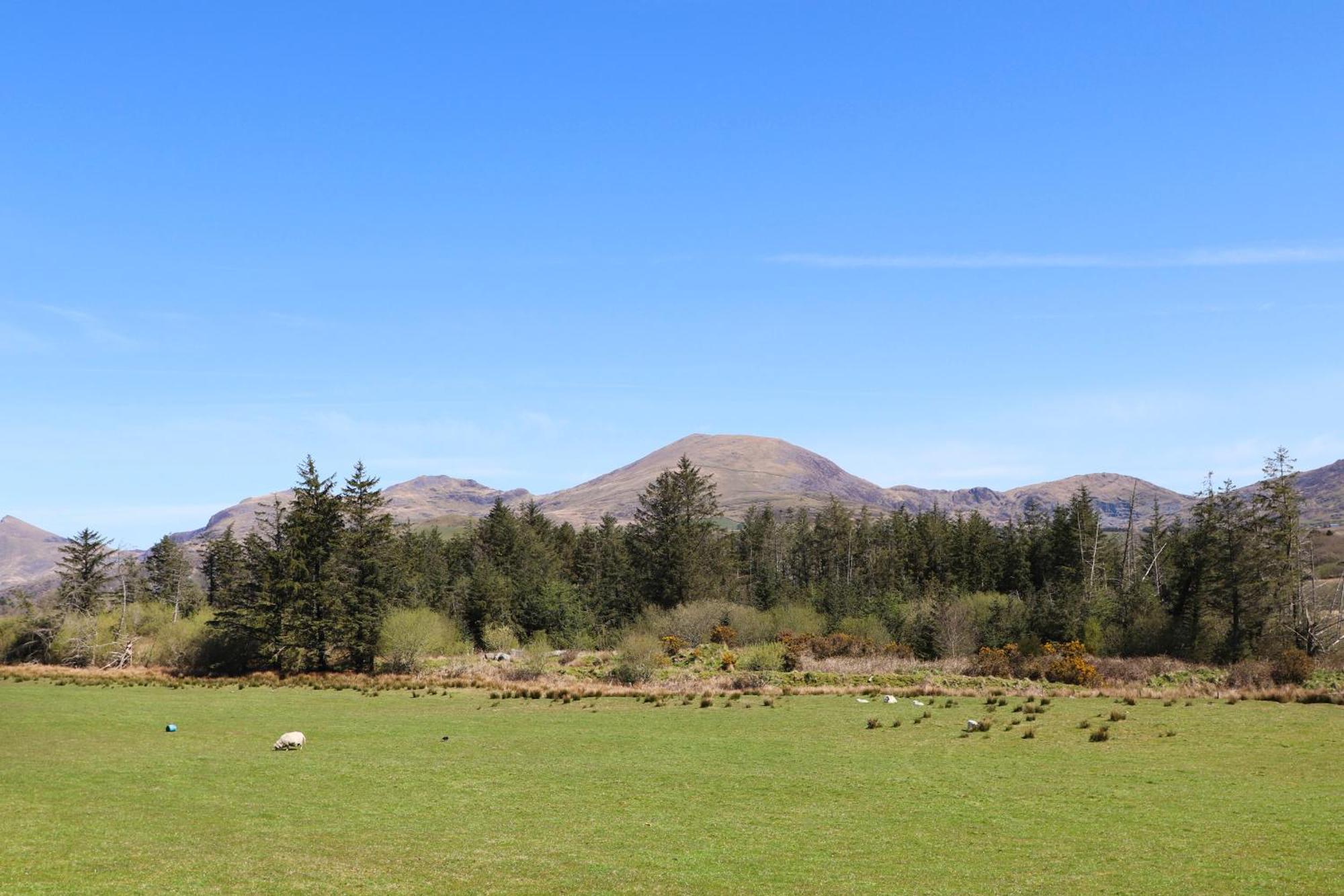 Cornhill Courtyard Apartment Porthmadog Luaran gambar